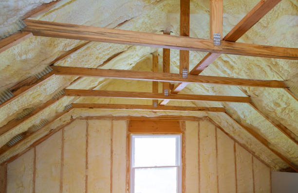 Best Geographic-Specific Insulation Services in Hastings, NE